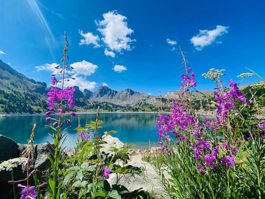 Studio De Charme Avec Vue Sur Le Val D'Allos, Parking Et Wifi Gratuit Luaran gambar